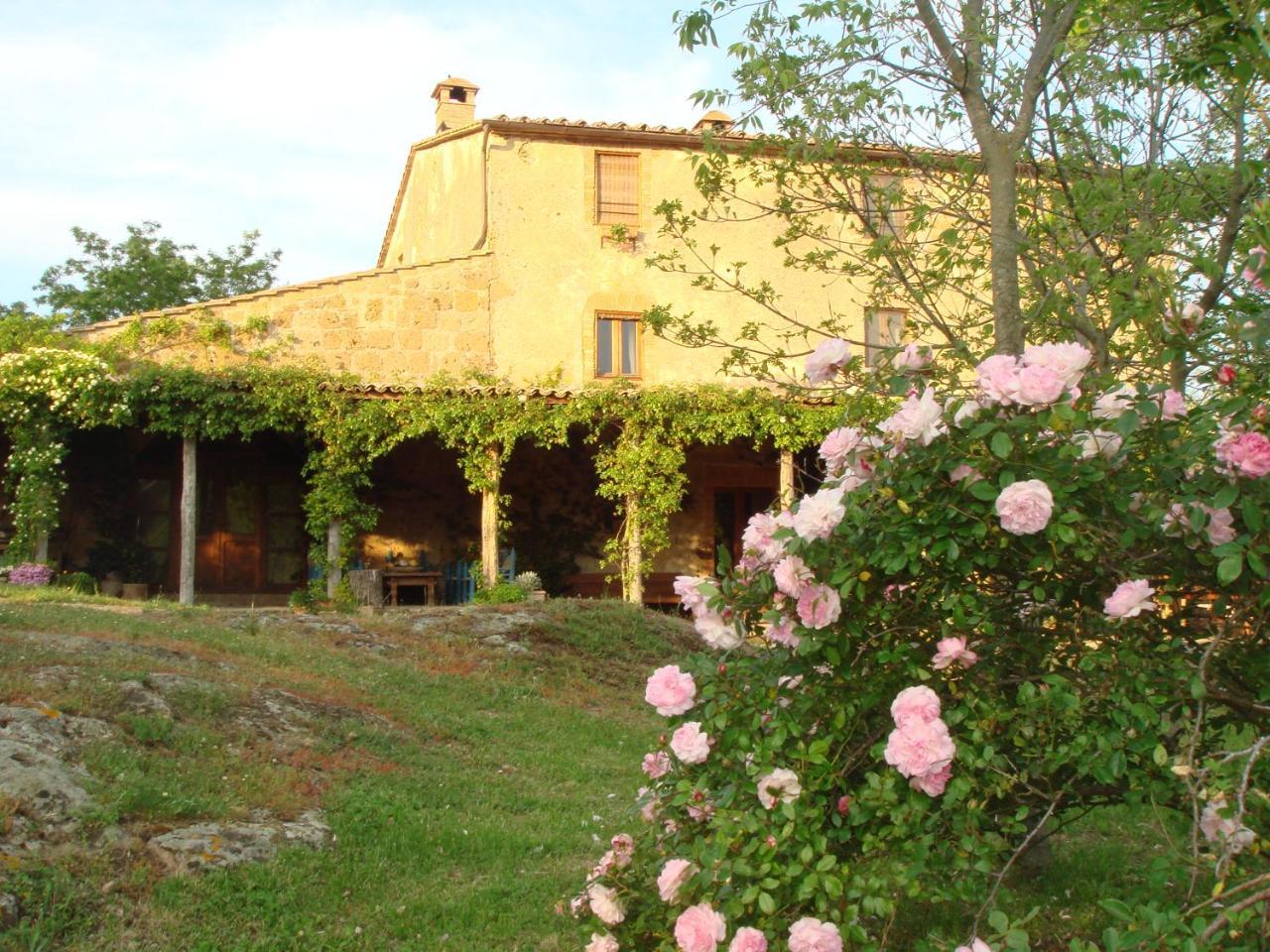 Agriturismo Locanda Settimo Cielo Lubriano Exterior photo